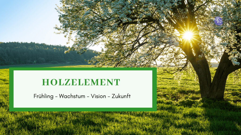 Holzelement TCM, Leber,